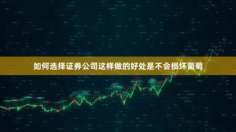 如何选择证券公司这样做的好处是不会损坏葡萄