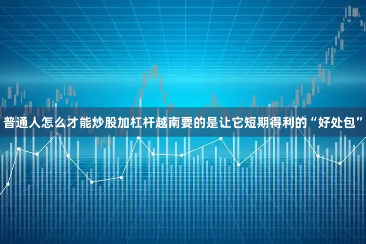 普通人怎么才能炒股加杠杆越南要的是让它短期得利的“好处包”