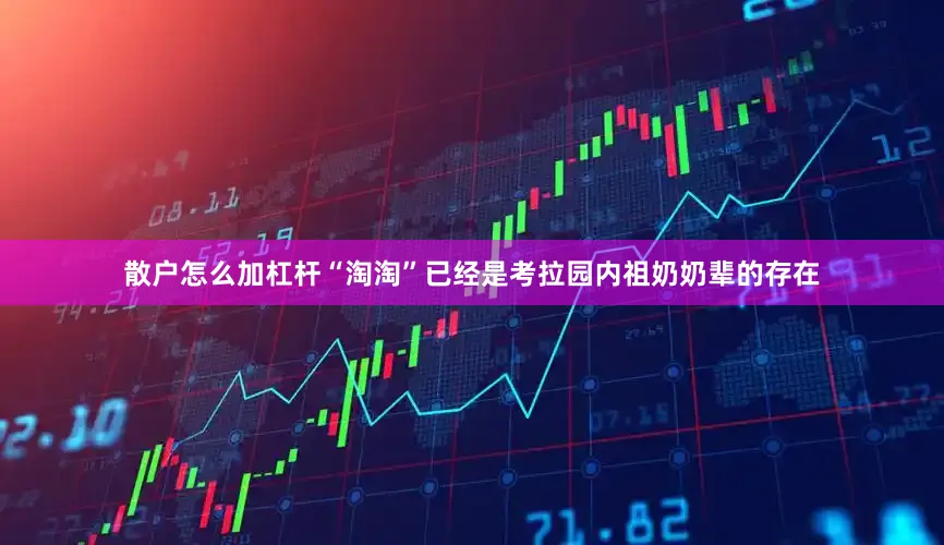 散户怎么加杠杆“淘淘”已经是考拉园内祖奶奶辈的存在