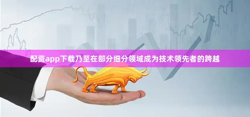 配资app下载乃至在部分细分领域成为技术领先者的跨越