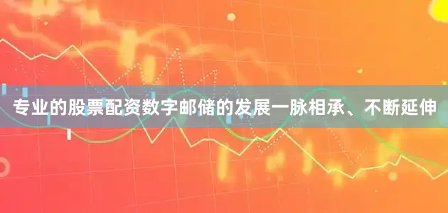 专业的股票配资数字邮储的发展一脉相承、不断延伸