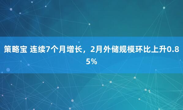 策略宝 连续7个月增长，2月外储规模环比上升0.85%